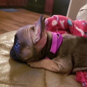 Meet your Posher, William